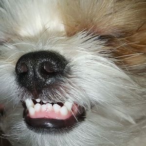 Meet your Posher, Brenda